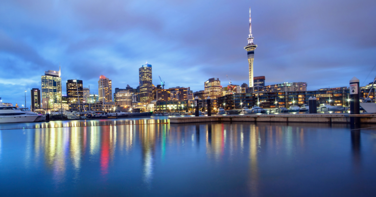 Building Services East Auckland: Professional Solutions for Residential and Commercial Projects