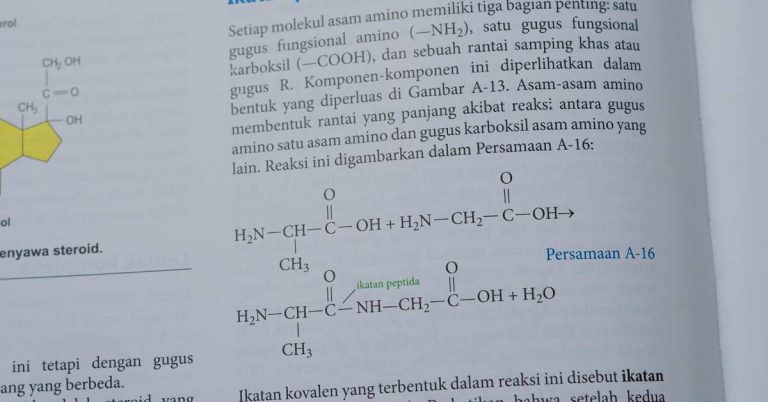 Best Physics Tuition in Singapore for O-Level and A-Level Academic Excellence